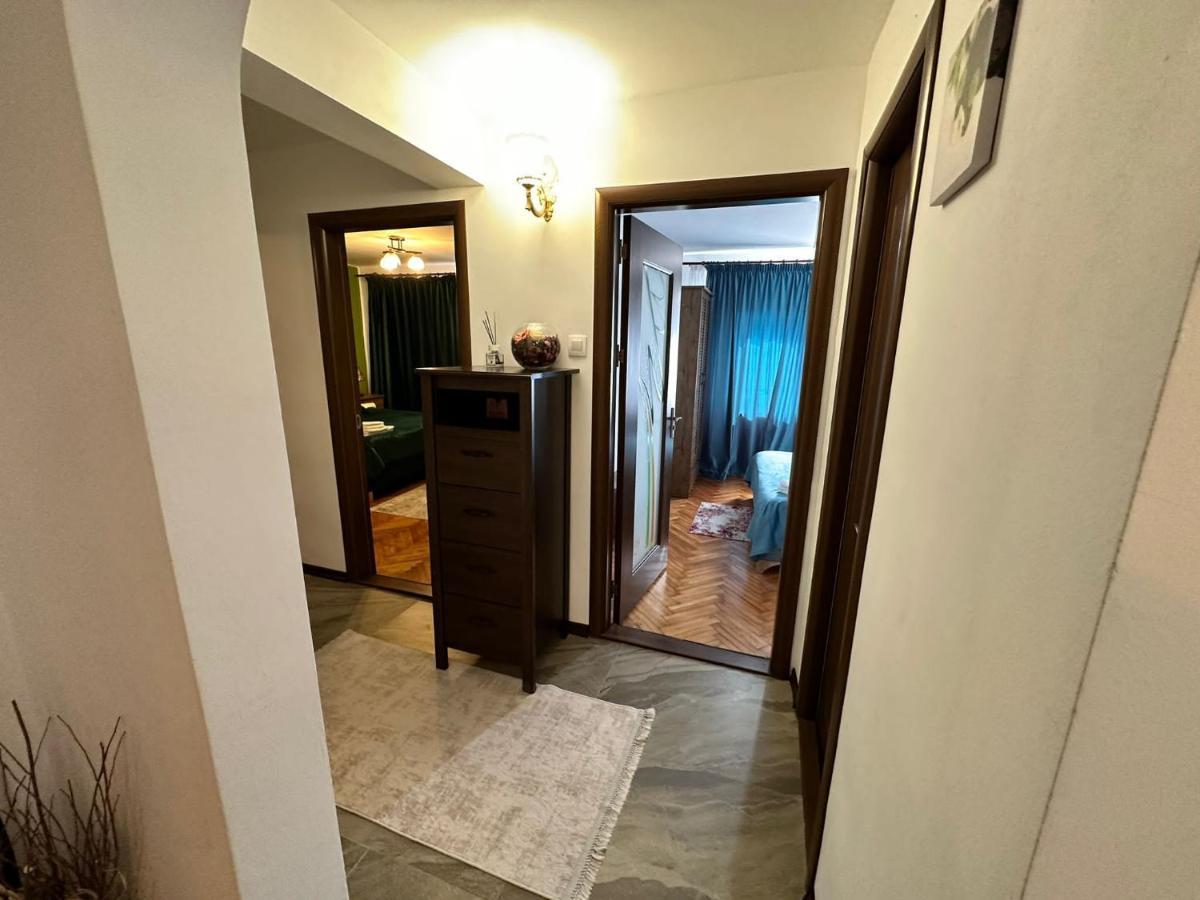 Stella'S Cozy Home 巴洛泰什蒂 外观 照片