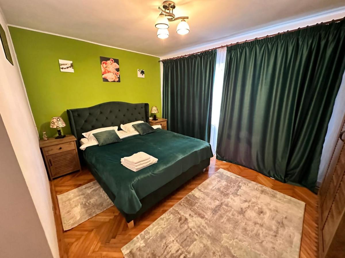 Stella'S Cozy Home 巴洛泰什蒂 外观 照片